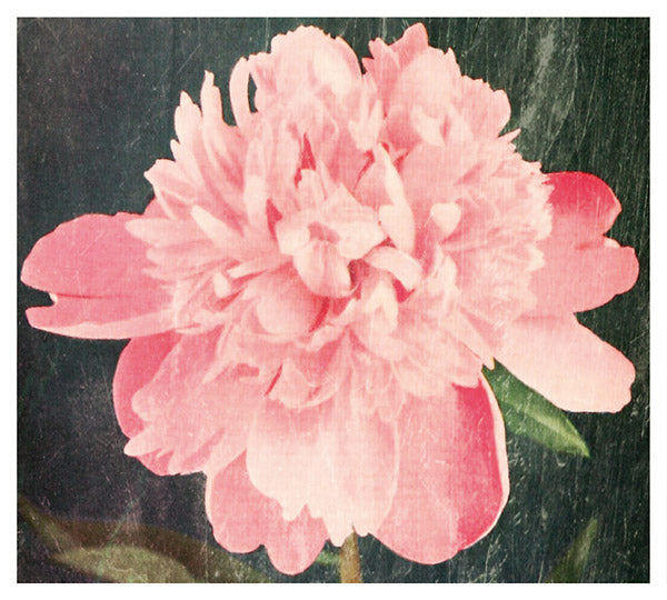 A Place To Stay  Music CD