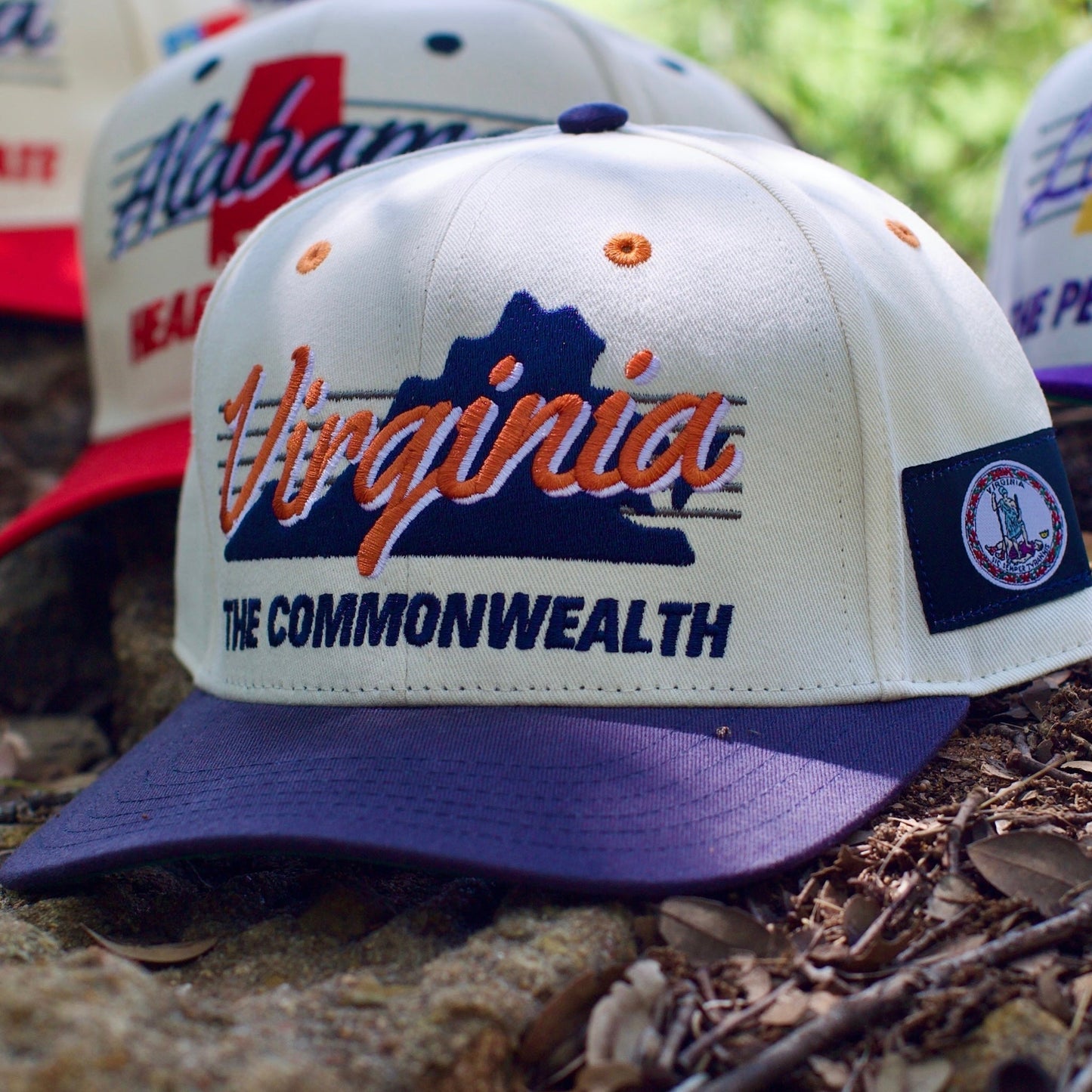 Virginia Snapback Hat - The Sampson