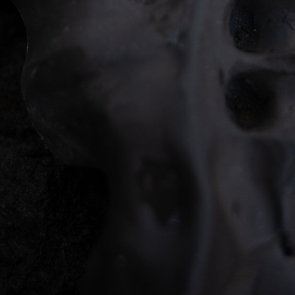 VITO GATTO - Evolve Vinyl Record