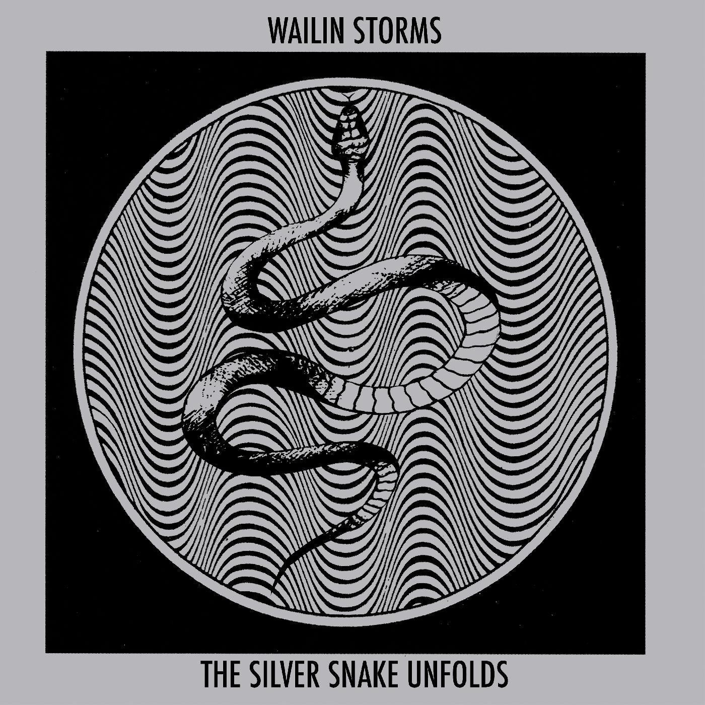 Wailin Storms - The Silver Snake Unfolds (BLUE & BLACK GALAXY VINYL) Vinyl Record