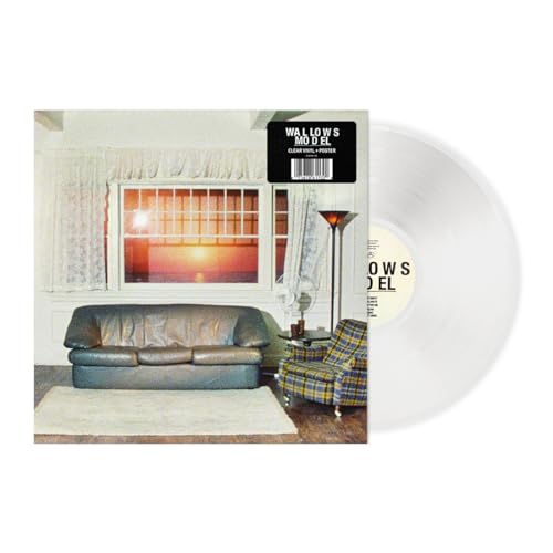 Model Vinyl Record