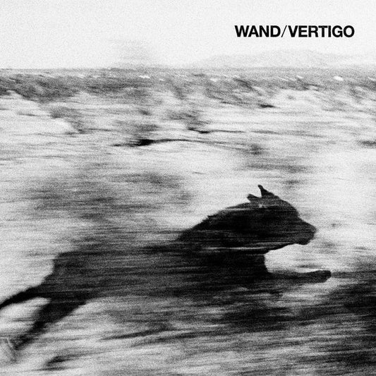 Wand  Vertigo Cassette Tape