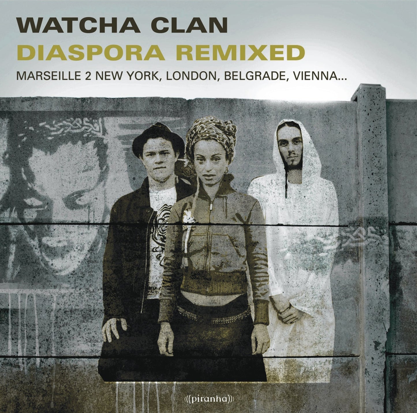 Diaspora Remixed Vinyl Record