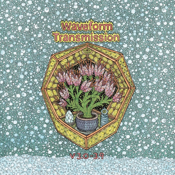 WAVEFORM TRANSMISSION - V 3.0-3.9 Vinyl Record