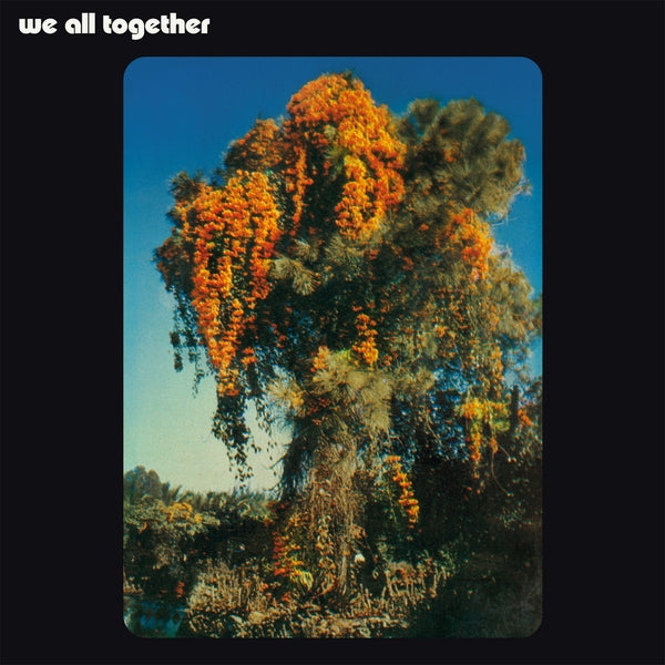WE ALL TOGETHER - We All Together Vinyl Record