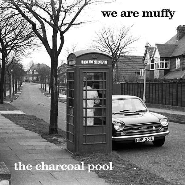WE ARE MUFFY - The Charcoal Pool Vinyl Record
