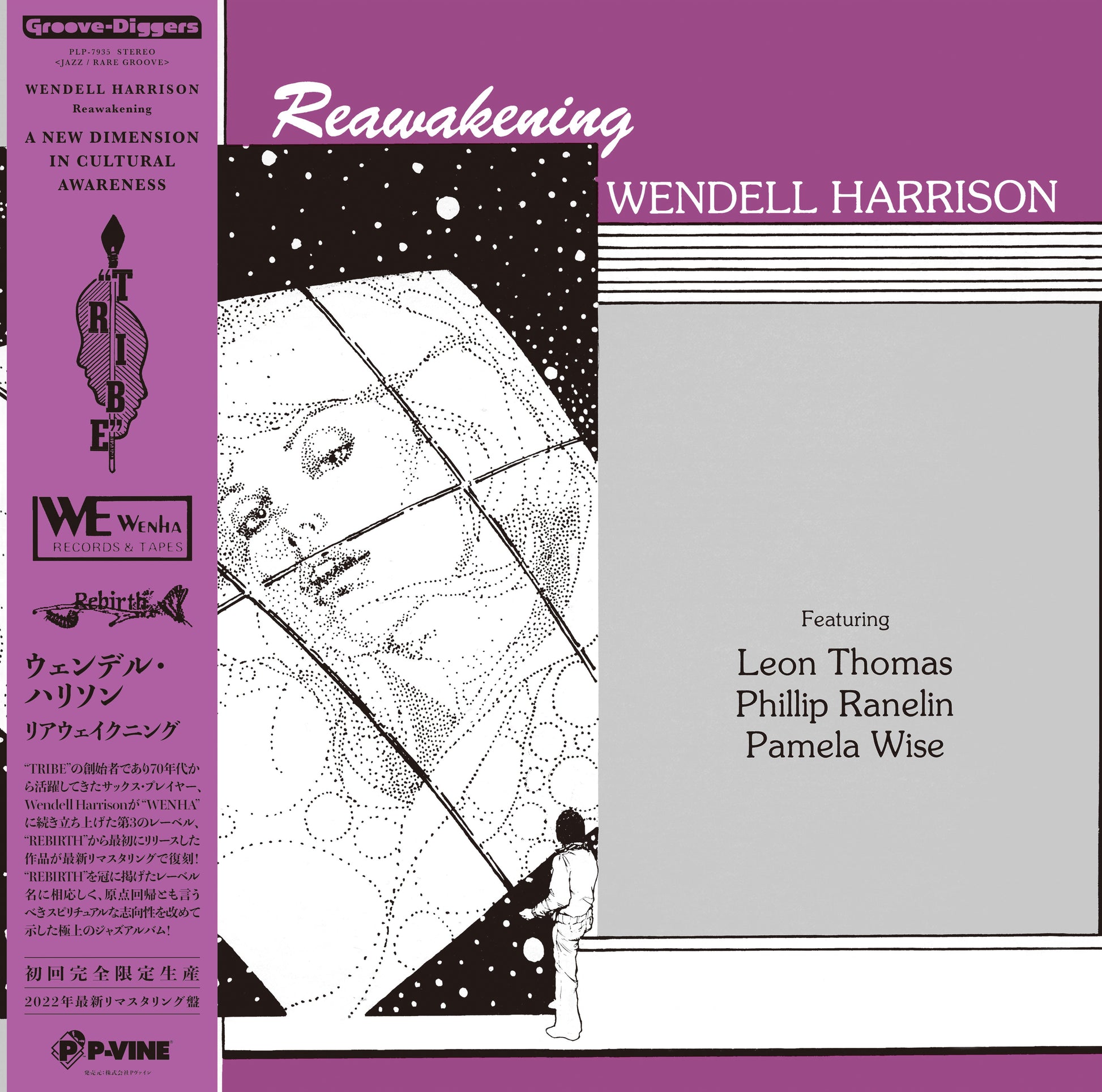 Reawakening Vinyl Record
