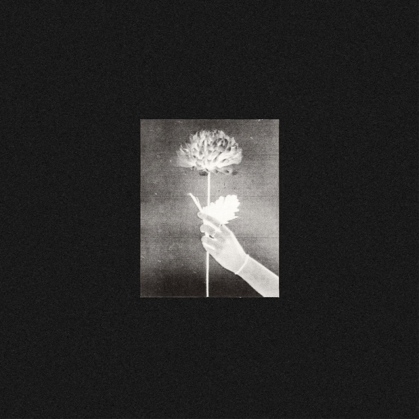 White Flowers - Day By Day (BLUE VINYL) Vinyl Record