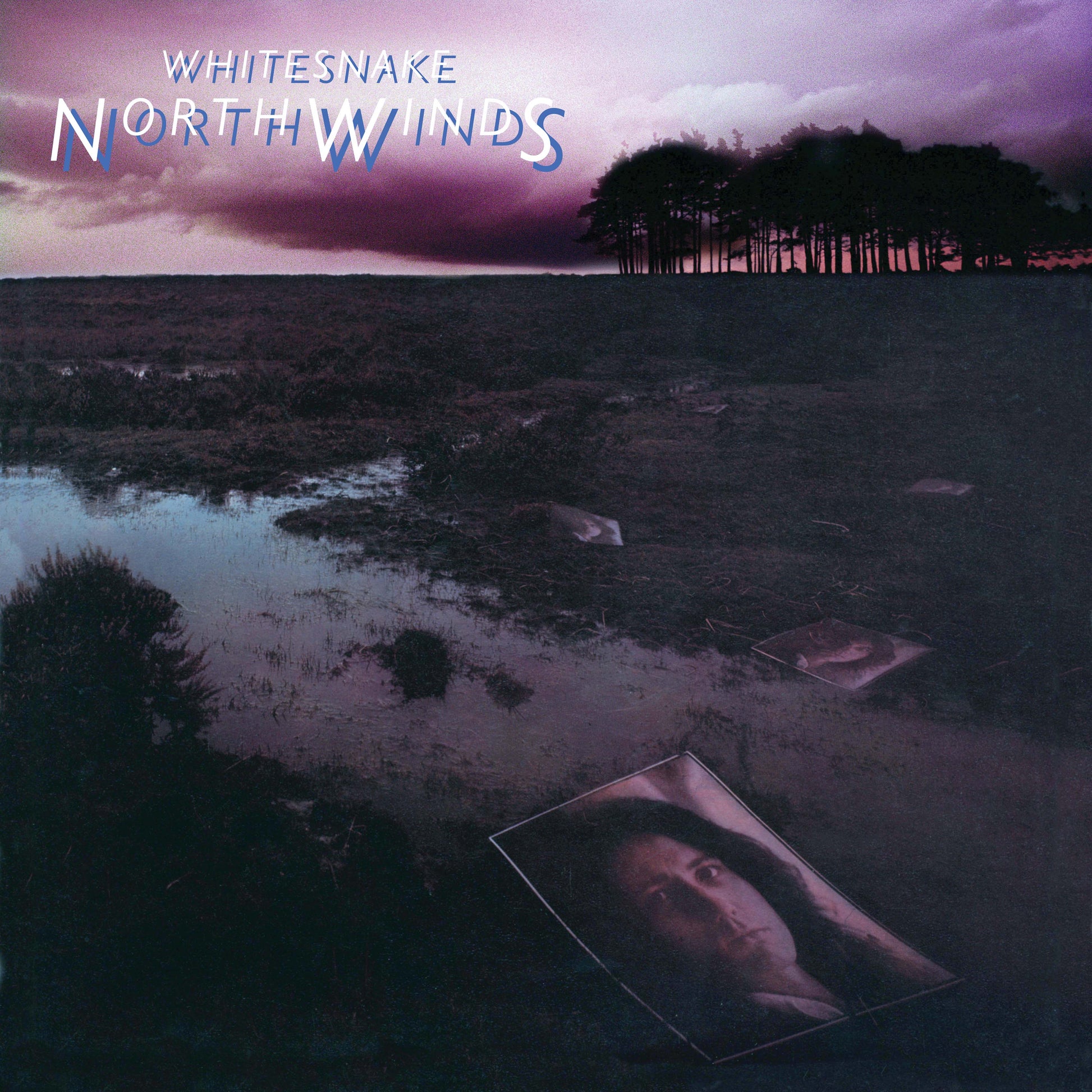 Whitesnake - NorthWinds (RKTBR24) (B&MEX) Vinyl Record