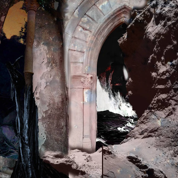 Afterdream Of The Reveller Vinyl Record