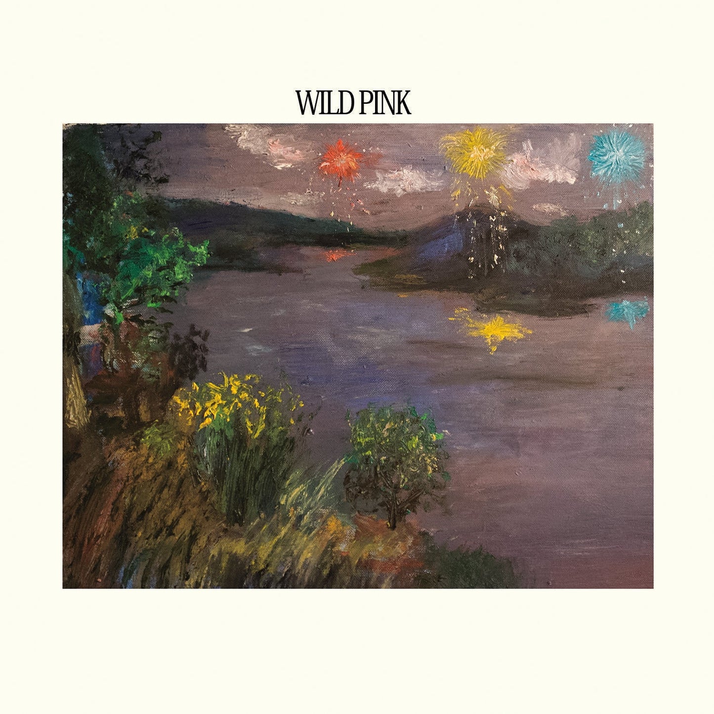 Wild Pink [CD] Music CD