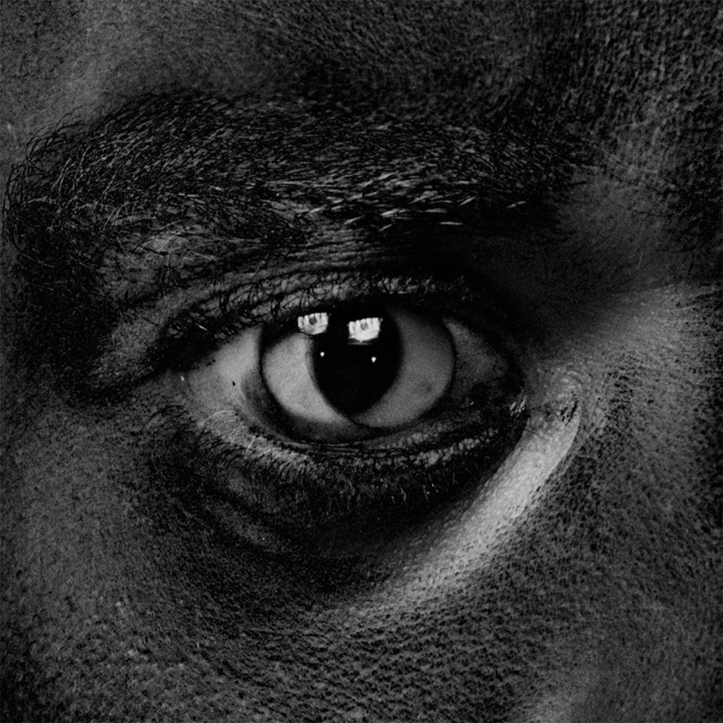 Evolve Or Be Extinct Music CD