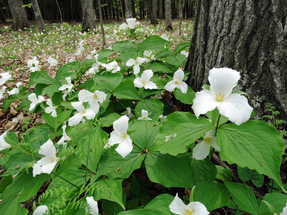 Capture Door County: Seasons Behind the Door: A Photographic Look at Door County's Seasons Book