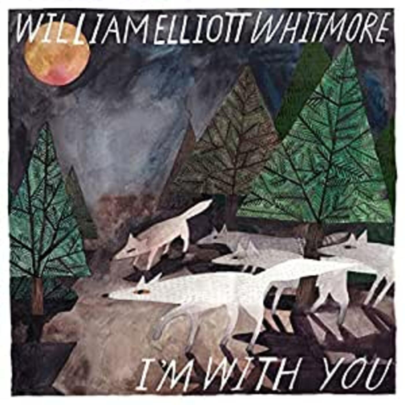 I'm With You Vinyl Record