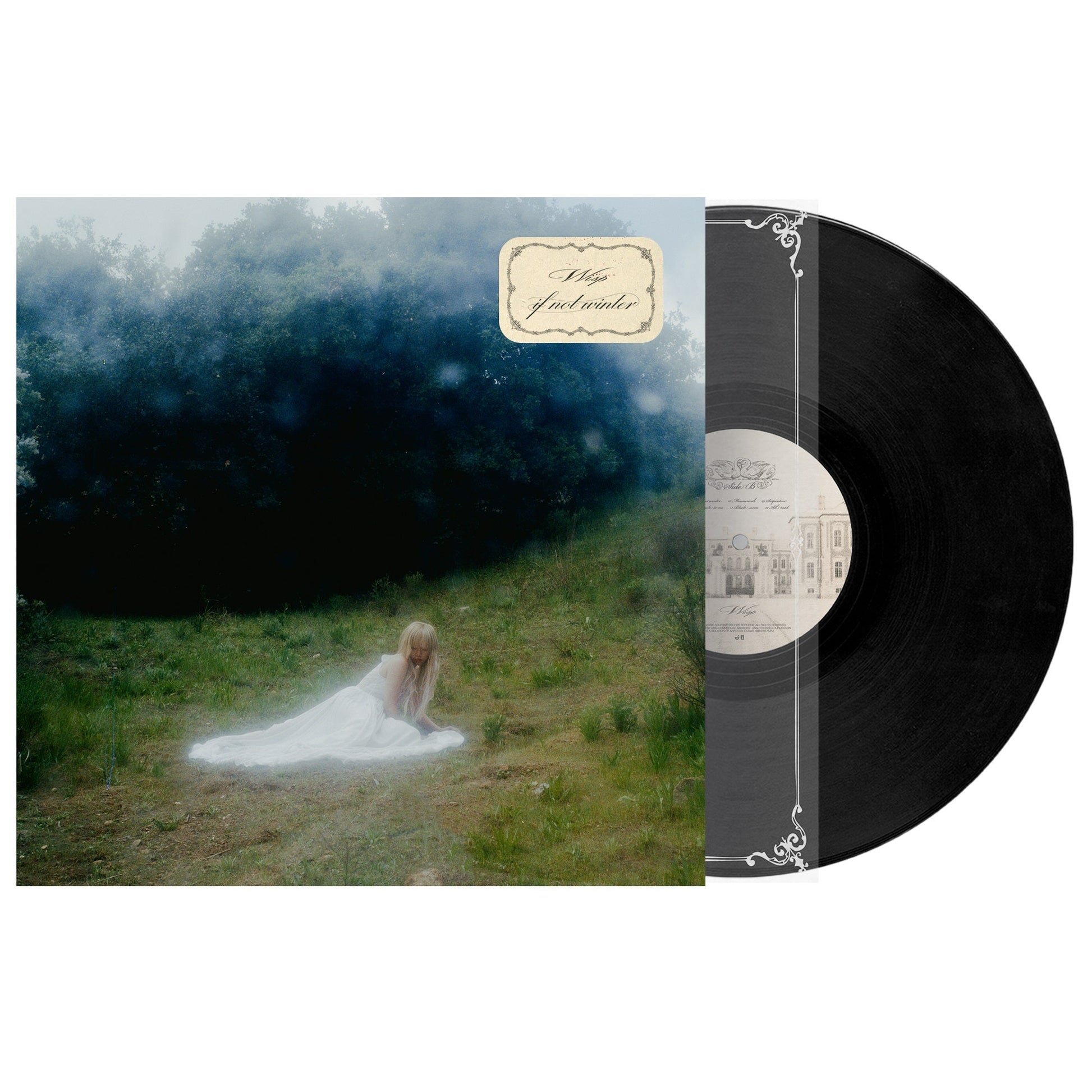 If Not Winter [Lp] Vinyl Record