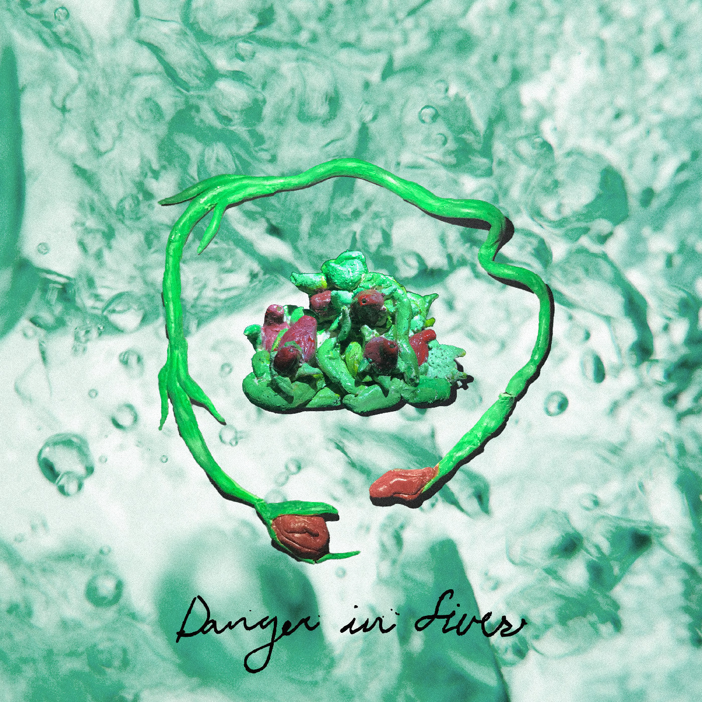 Danger In Fives Music CD