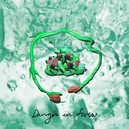 Danger In Fives Music CD