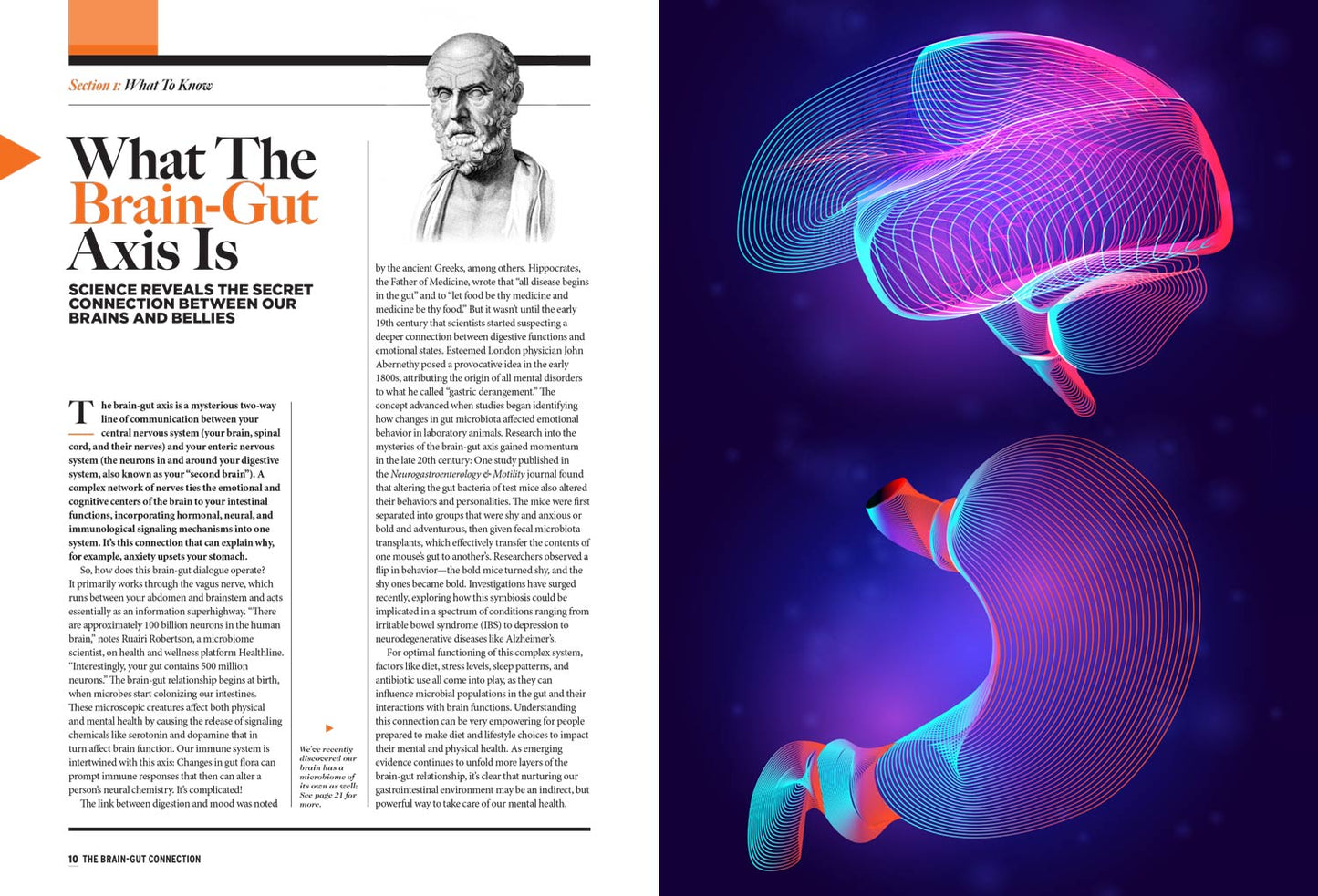 Brain-Gut Connection -  Your Guide On Gut Health: Enhance Brain Function, Manage Moods, Reduce Anxiety, Focus, Sleep, Mindful Practices, Dietary Approaches, Making Healthier Life Choices & More!