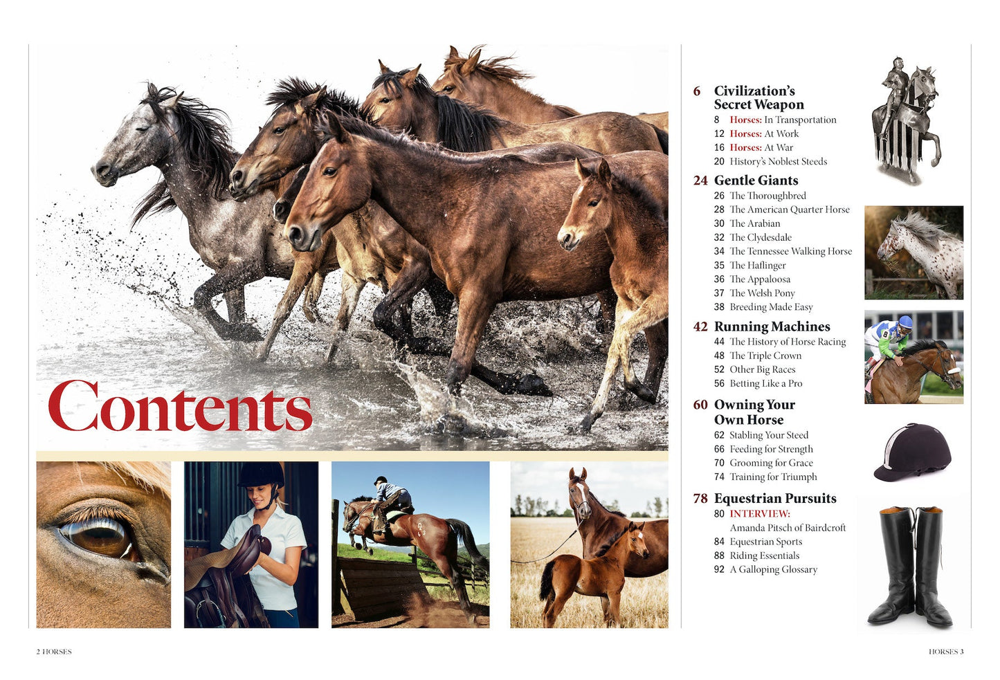 Horses - The Complete Guide: Expert Riding & Training Tips, Stable Care, Breeding Mastery, Racing, Betting, Breeds From Clydesdales To Arabians, Icons Like Secretariat & History's Noblest Steeds!