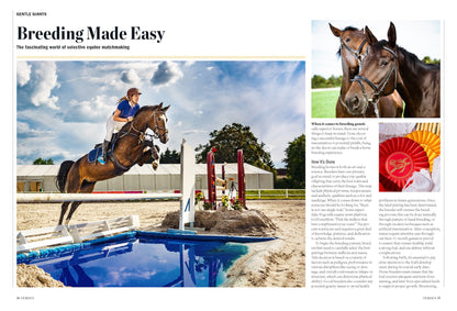 Horses - The Complete Guide: Expert Riding & Training Tips, Stable Care, Breeding Mastery, Racing, Betting, Breeds From Clydesdales To Arabians, Icons Like Secretariat & History's Noblest Steeds!