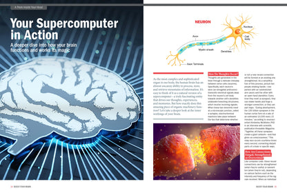 The Future Of Your Brain - Complete Guide: Improve Mental Function, Memory, Recall, Be More Creative & Productive, Reverse Cognitive Decline, Live Longer, Food, Supplements & Artificial Intelligence!