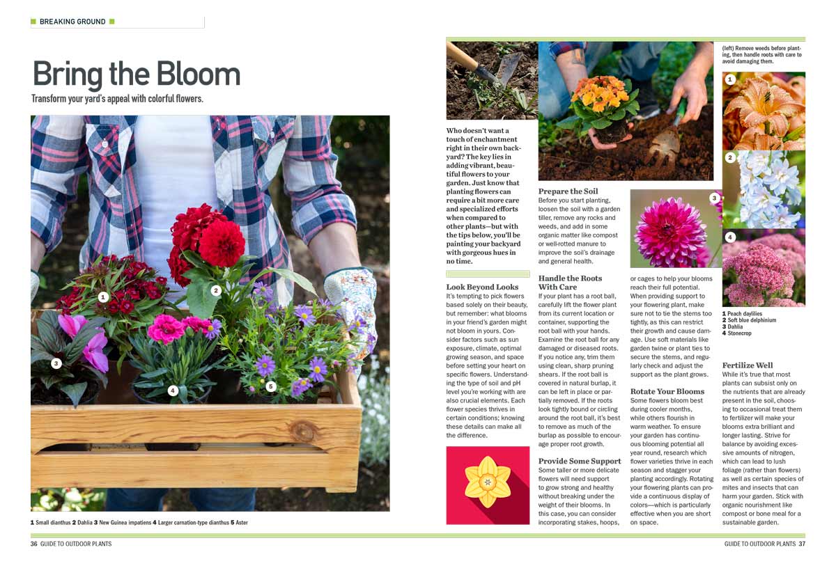 Outdoor Plants - Comprehensive Guide: How To Plan, Plant, Trim, Nurture, Pollinate, Feed, Watering Systems, Protect From Insects, Geographic Zones, Soil, Climate, Landscaping, Tools, Weeding & More!