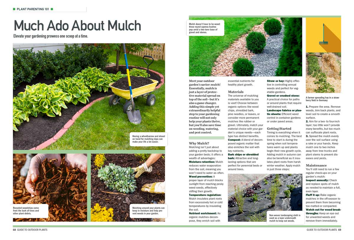 Outdoor Plants - Comprehensive Guide: How To Plan, Plant, Trim, Nurture, Pollinate, Feed, Watering Systems, Protect From Insects, Geographic Zones, Soil, Climate, Landscaping, Tools, Weeding & More!