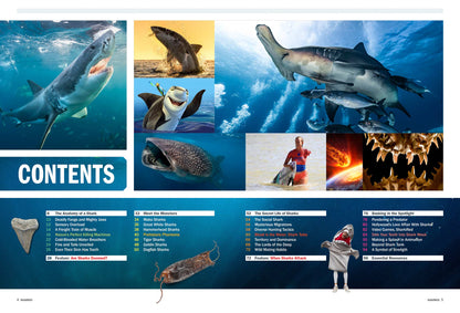 Shark Week - Deadly Behemoths Of The Deep, Terrifying Tales Of Brutal Attacks, How To Survive, Anatomy, Blood In The Water, Secrets, Tiger Sharks, Hammerheads, Goblin Sharks, Great Whites & More!