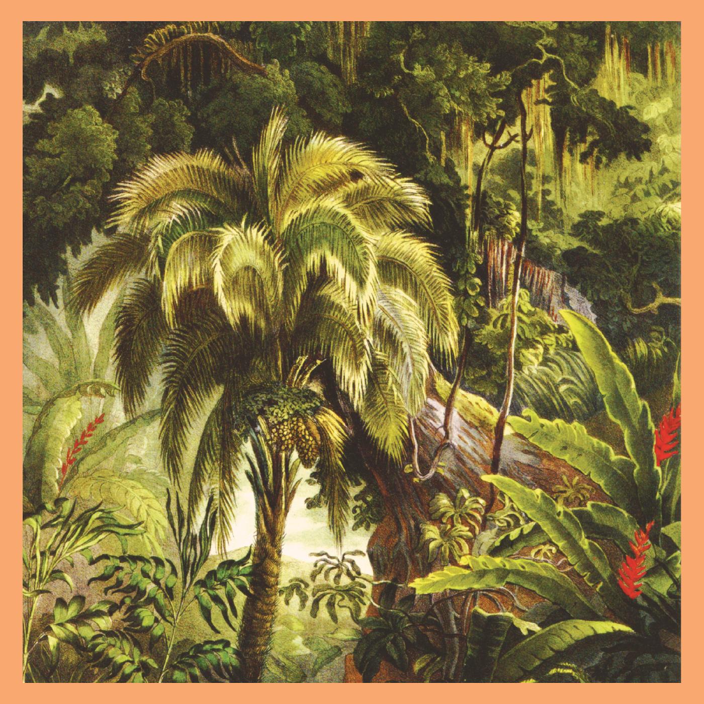PRE-ORDER Xiu Xiu - La Foret [Jade Eco-Mix Vinyl] [Vinyl] Vinyl Record