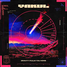 Gravity Pulls You Home Vinyl Record