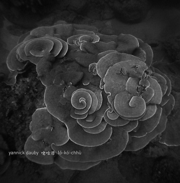 Penghu Experimental Sound Studio Vol. 2 Vinyl Record