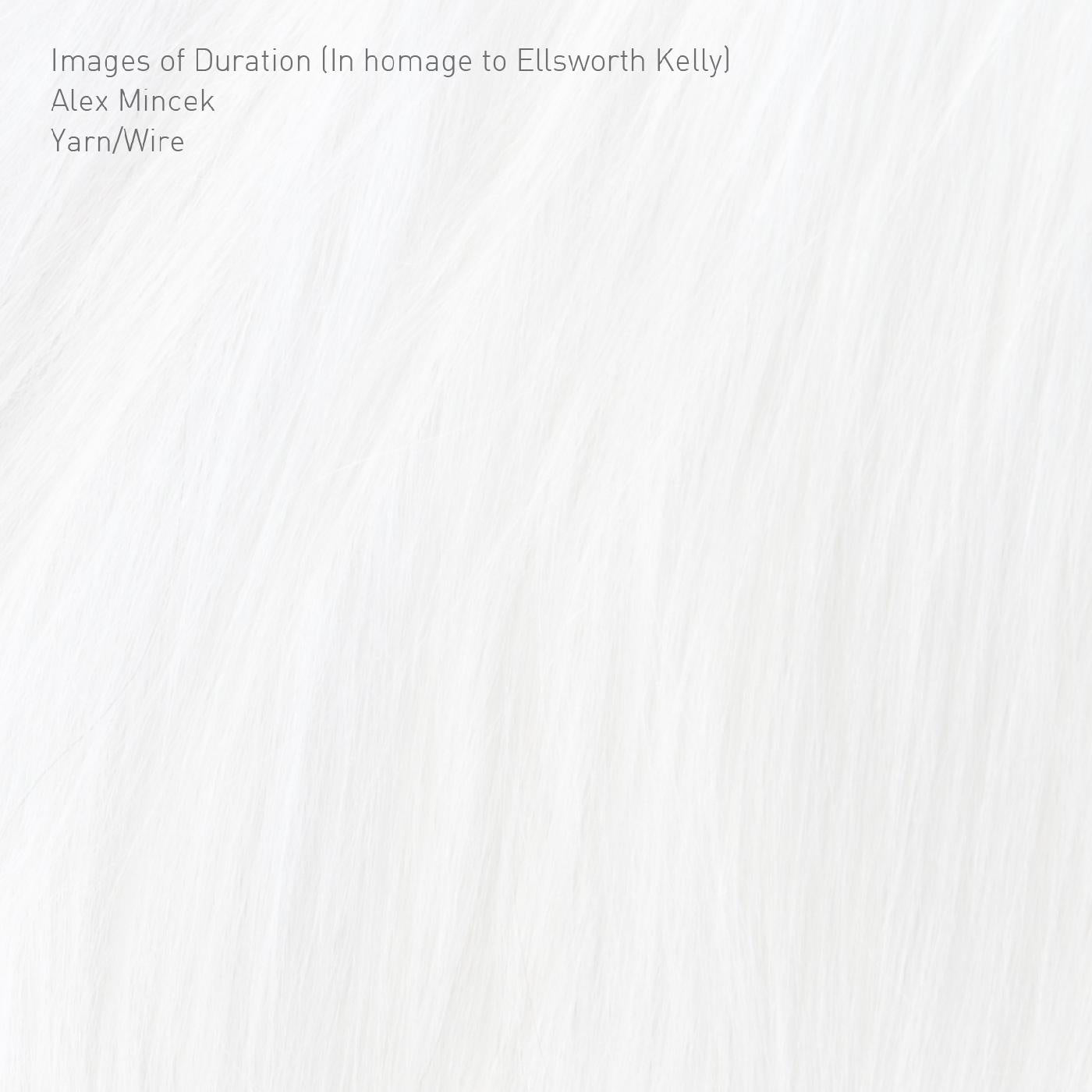Images of Duration (In homage to Ellsworth Kelly) Music CD