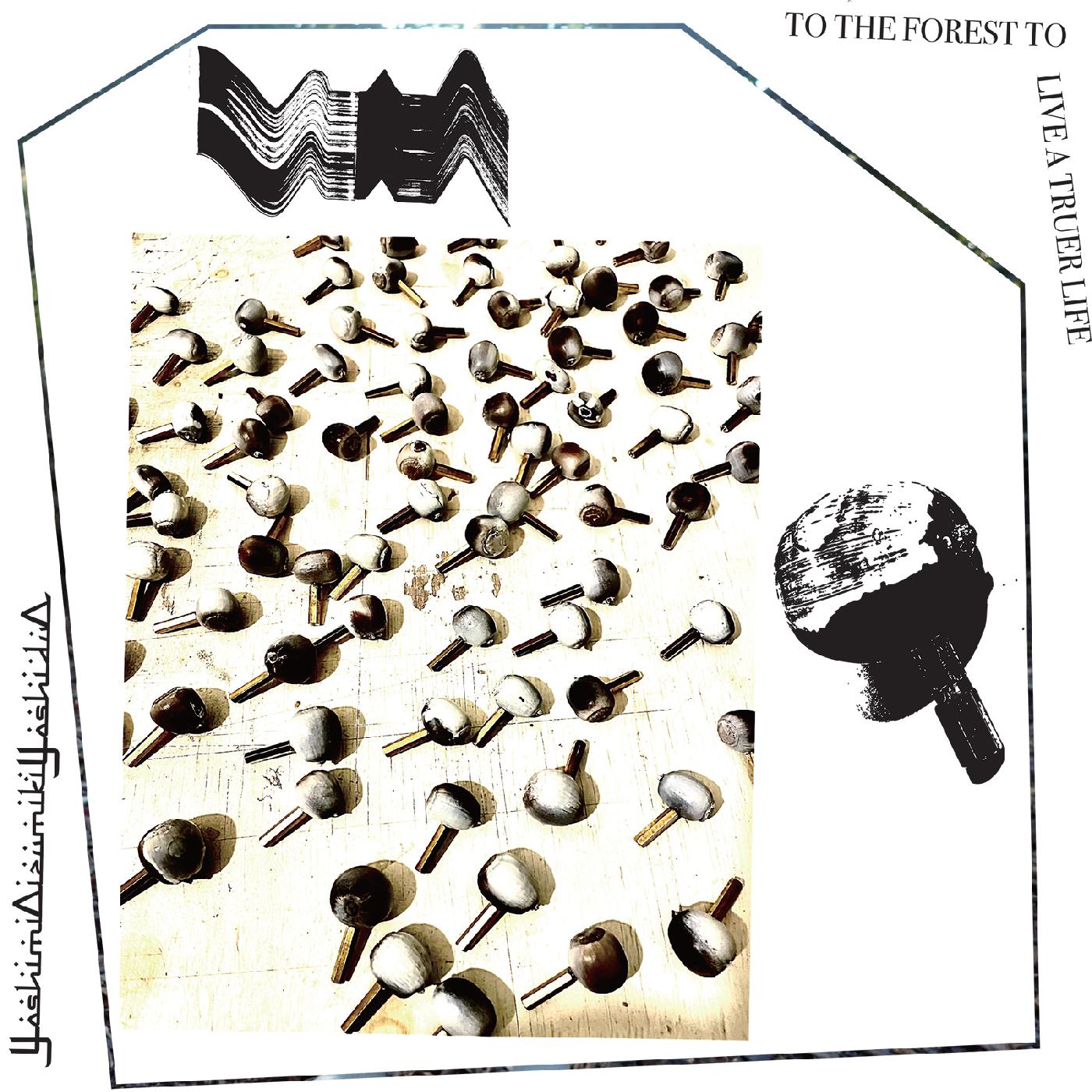 YoshimiOizumikiYoshiduO - To The Forest To Live A Truer Life Vinyl Record