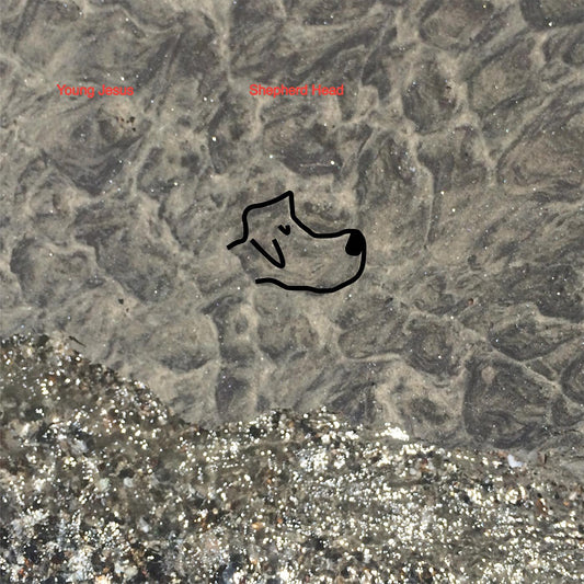 Young Jesus  Shepherd Head Cassette Tape