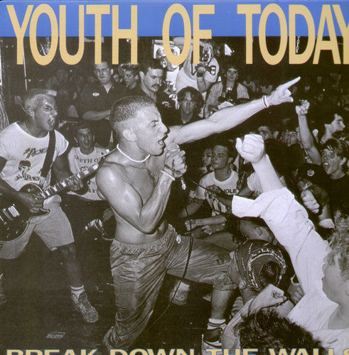 Break Down the Walls [Vinyl] Vinyl Record