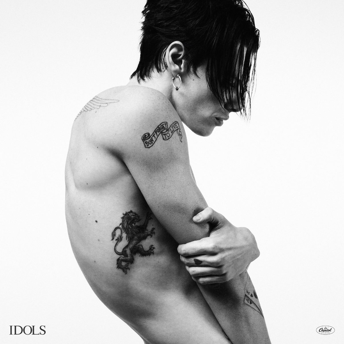 Idols [Lp] Vinyl Record