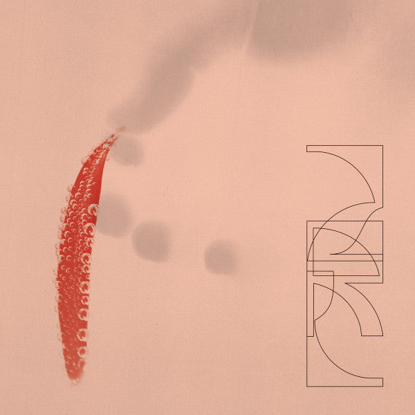 Our Savings Vinyl Record