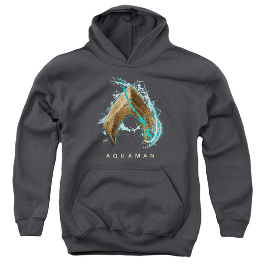 Aquaman Movie Water Shield Kids Youth Hoodie Charcoal