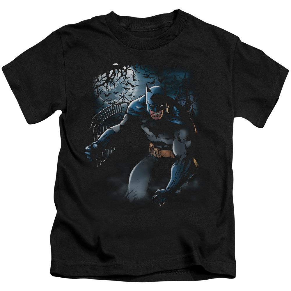 Batman Light Of The Moon Juvenile Kids Youth T Shirt Black