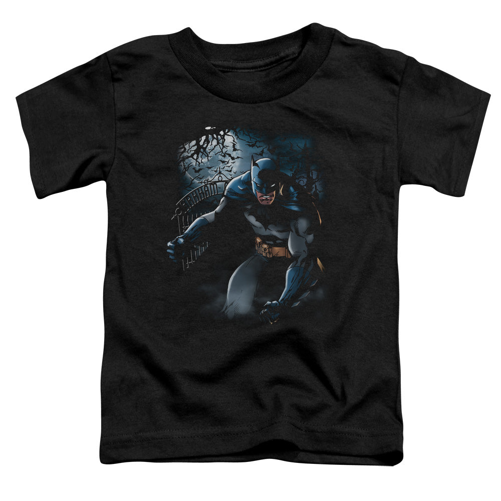 Batman Light Of The Moon Toddler Kids Youth T Shirt Black