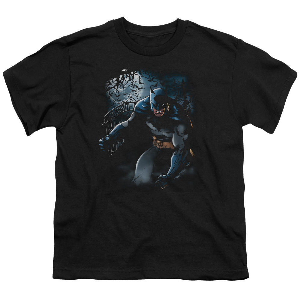 Batman Light Of The Moon Kids Youth T Shirt Black