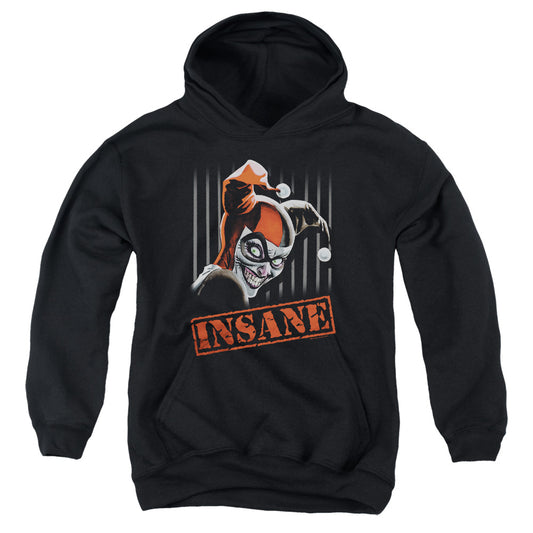 Batman Insane Kids Youth Hoodie Black