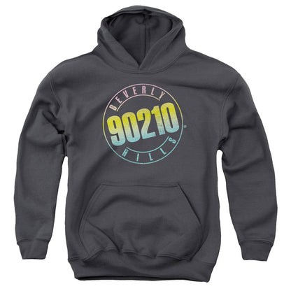 90210 Color Blend Logo Kids Youth Hoodie Charcoal