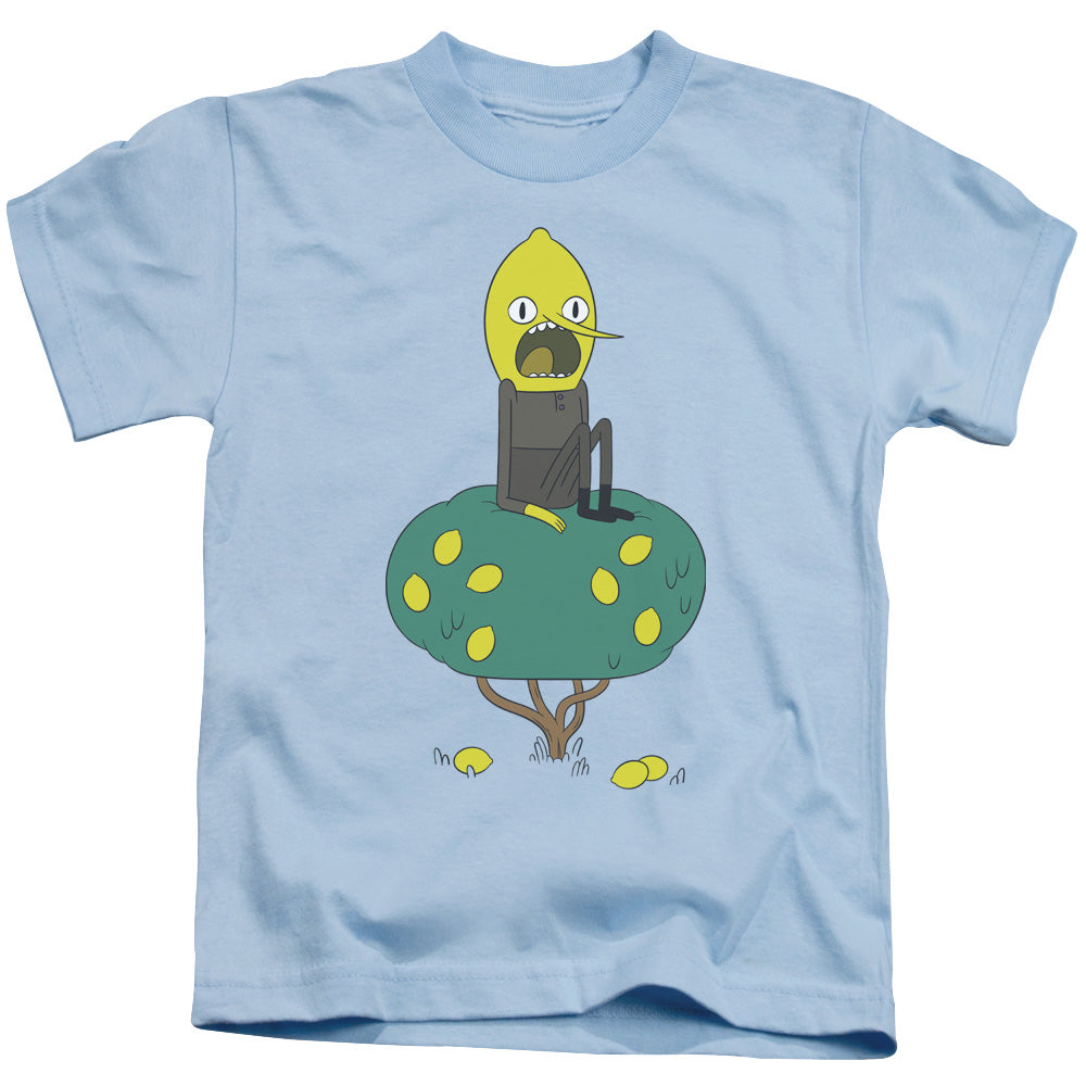 Adventure Time Lemongrab Juvenile Kids Youth T Shirt Light Blue 