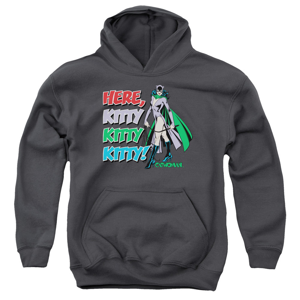 DC Comics Here Kitty Kids Youth Hoodie Charcoal