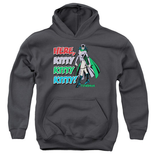 DC Comics Here Kitty Kids Youth Hoodie Charcoal