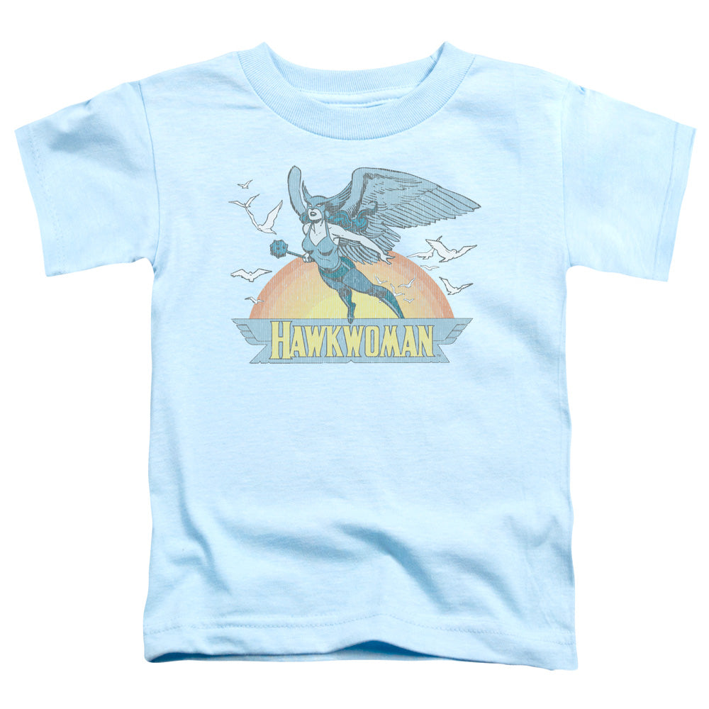 DC Comics Hawkwoman Toddler Kids Youth T Shirt Light Blue
