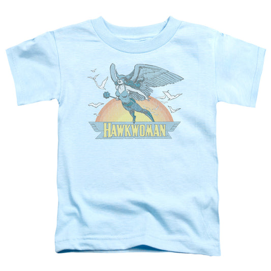 DC Comics Hawkwoman Toddler Kids Youth T Shirt Light Blue