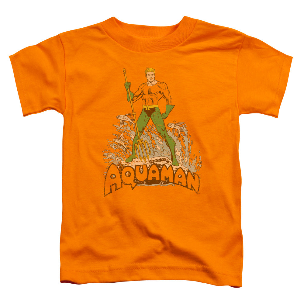 DC Comics Aquaman Distressed Toddler Kids Youth T Shirt Orange