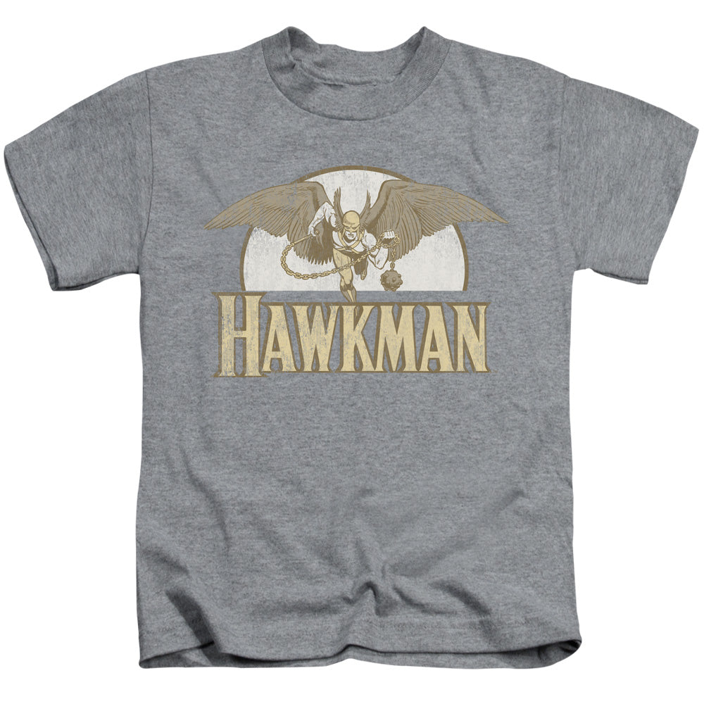 DC Comics Fly by Juvenile Kids Youth T Shirt Athletic Heather 